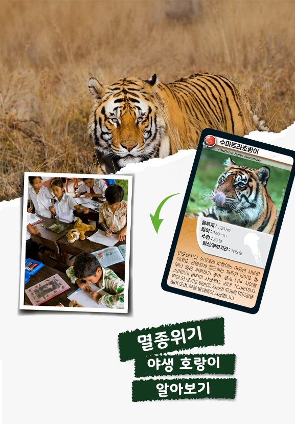 네이처챌린지 이미지